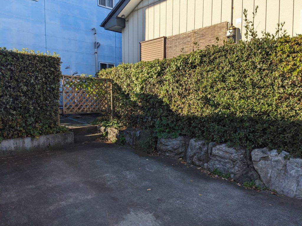 邑楽郡 スタッフ宅　生垣剪定工事
