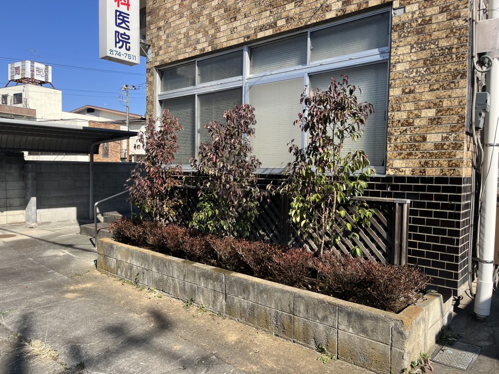 施工後｜館林市 Ⅰ歯科医院様　樹木植栽工事