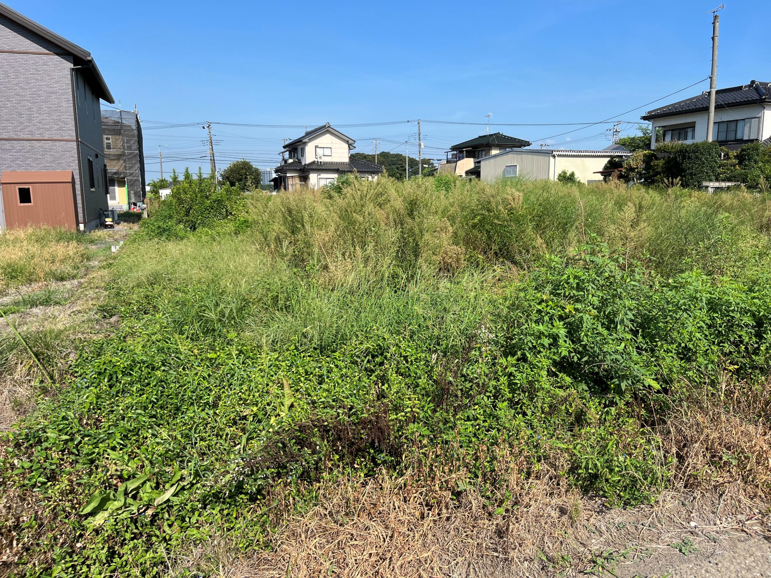 群馬県館林市の除草ができずお困りなI様のご依頼