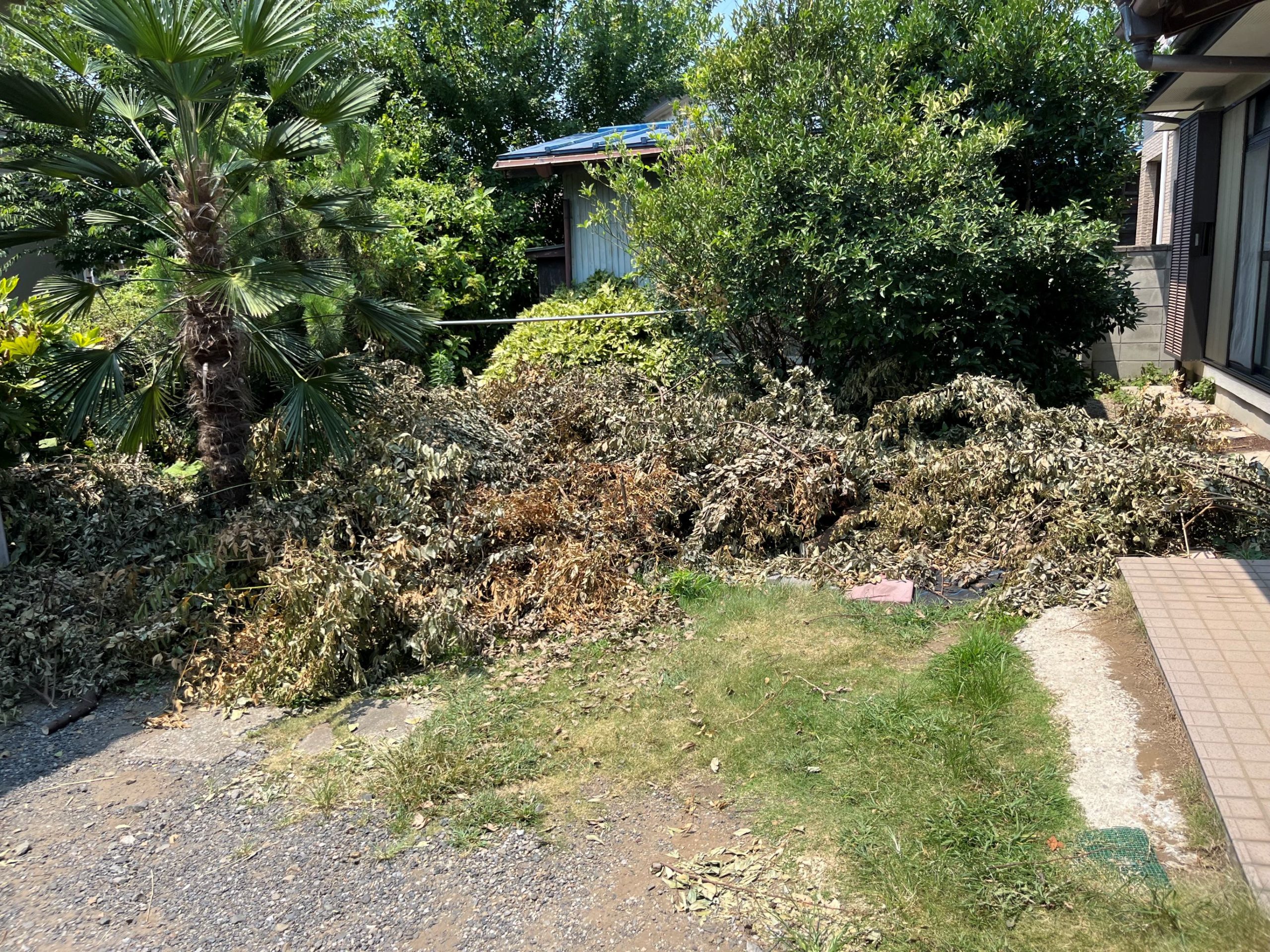 埼玉県　切枝処分及び伐採・剪定作業