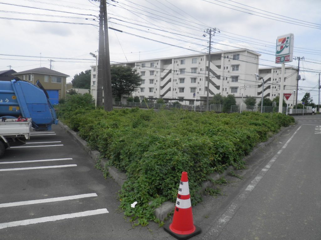館林市 店舗様 駐車スペース剪定工事