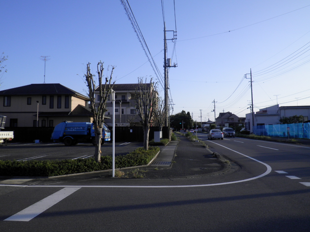 施工後｜群馬県館林市　S病院様　院内剪定工事