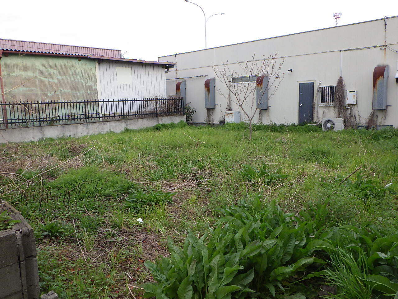 施工前｜館林市　土入替え工事