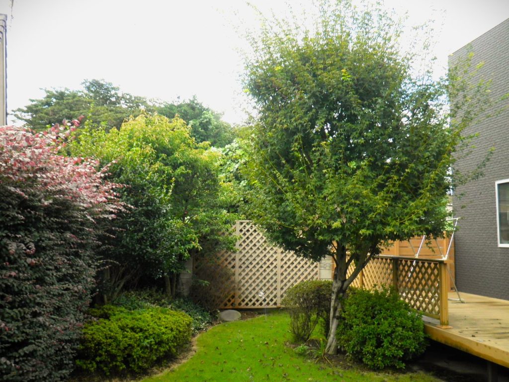 館林市 H様邸　剪定工事