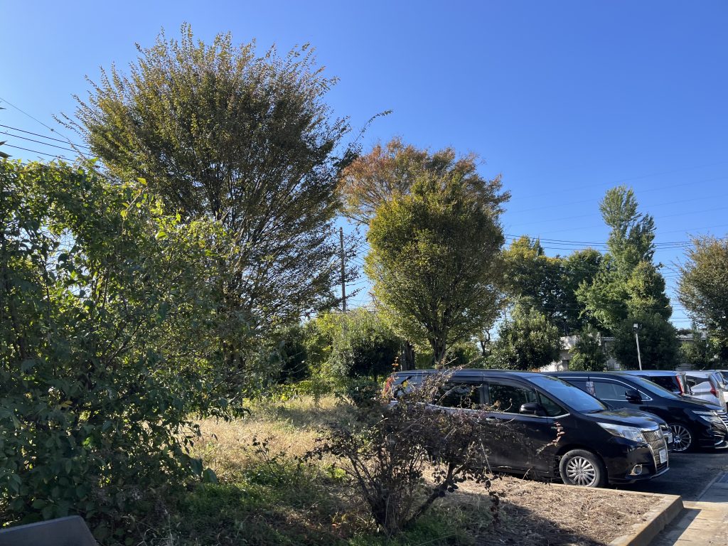 邑楽郡 工場様　場内樹木剪定、緑地除草工事