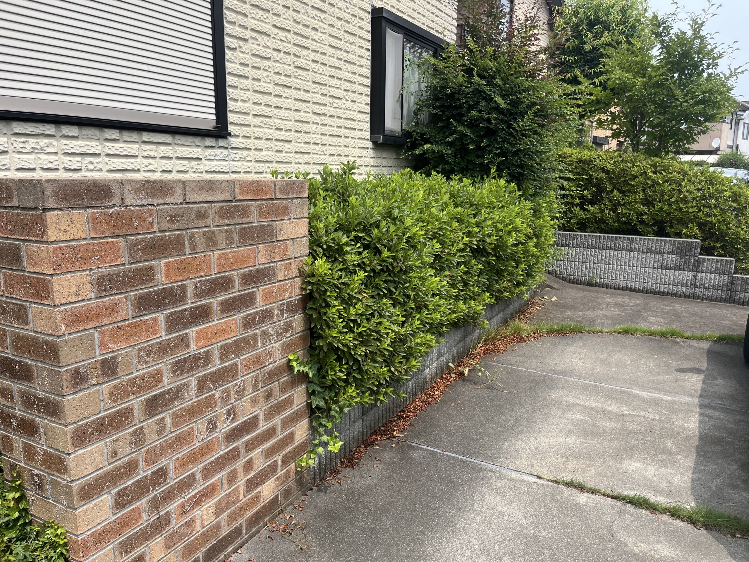 施工前｜邑楽郡 T様邸 庭リフォーム工事