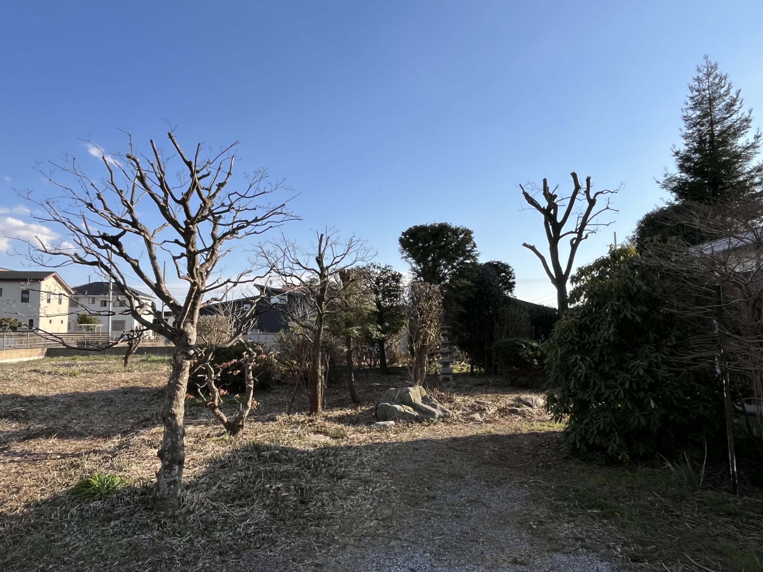 施工後｜館林市　M様邸剪定・伐採工事